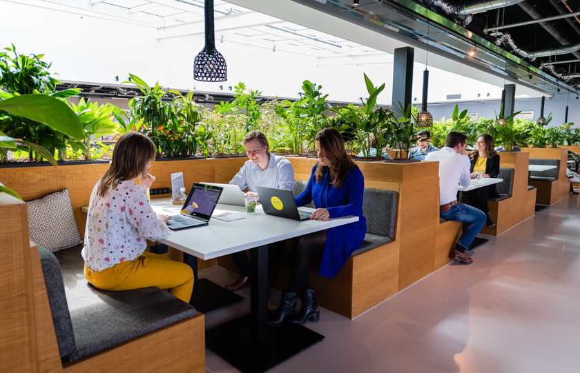 Vacature Cloud Solution Architect